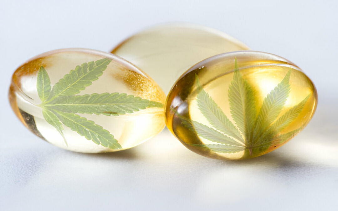 Cannabis Gel Caps: What to Know About Their Uses and Benefits